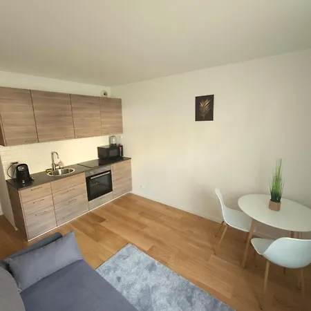 Elegant Lumineux, Apartment